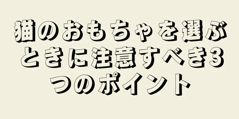 猫のおもちゃを選ぶときに注意すべき3つのポイント
