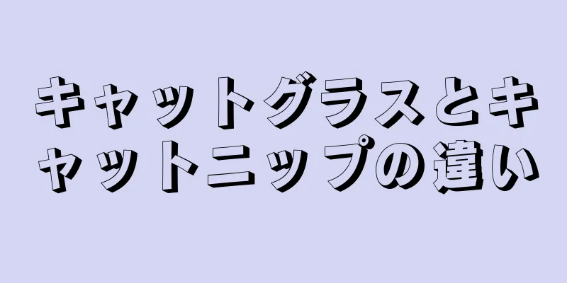 キャットグラスとキャットニップの違い