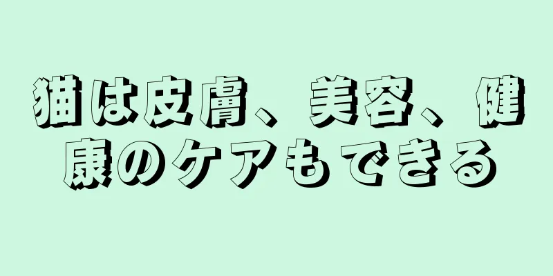 猫は皮膚、美容、健康のケアもできる