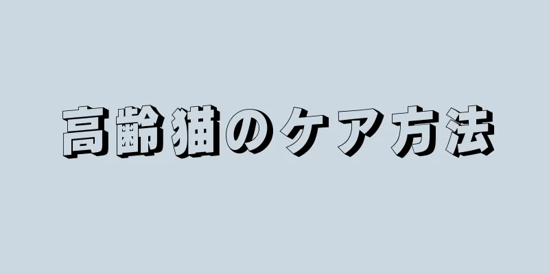 高齢猫のケア方法