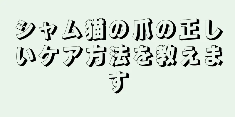 シャム猫の爪の正しいケア方法を教えます