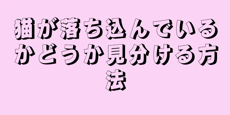 猫が落ち込んでいるかどうか見分ける方法