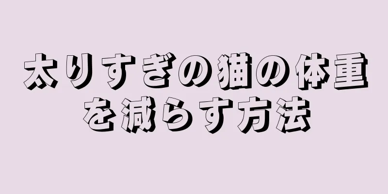 太りすぎの猫の体重を減らす方法