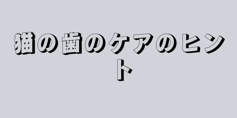 猫の歯のケアのヒント