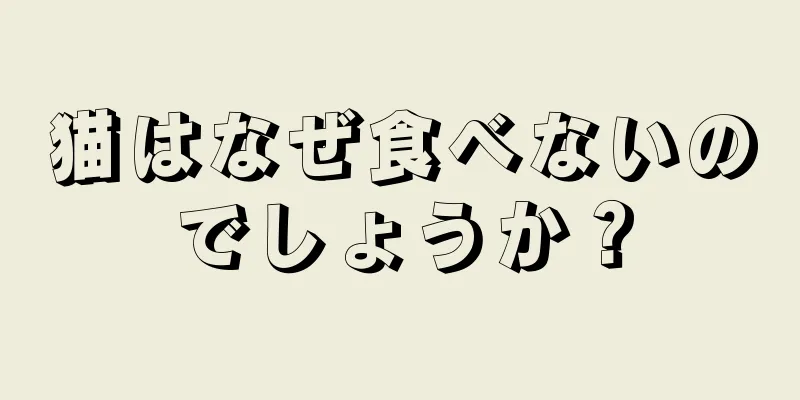 猫はなぜ食べないのでしょうか？