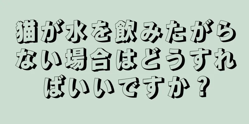 猫が水を飲みたがらない場合はどうすればいいですか？