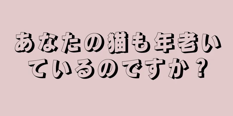 あなたの猫も年老いているのですか？