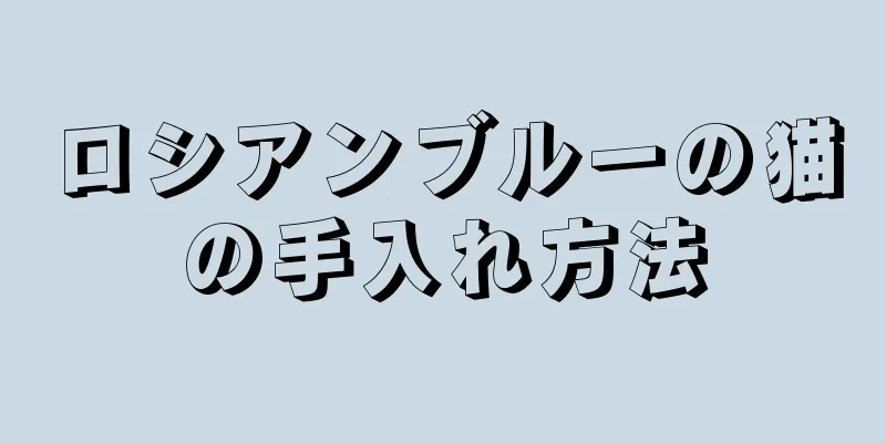 ロシアンブルーの猫の手入れ方法
