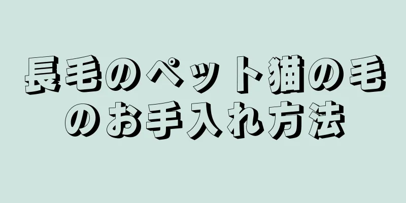 長毛のペット猫の毛のお手入れ方法