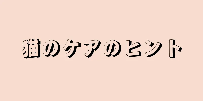 猫のケアのヒント