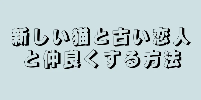 新しい猫と古い恋人と仲良くする方法
