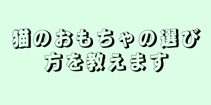猫のおもちゃの選び方を教えます