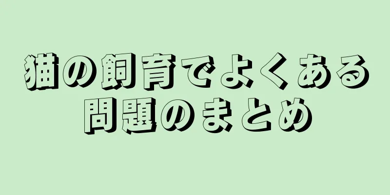 猫の飼育でよくある問題のまとめ