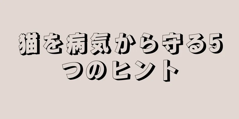 猫を病気から守る5つのヒント