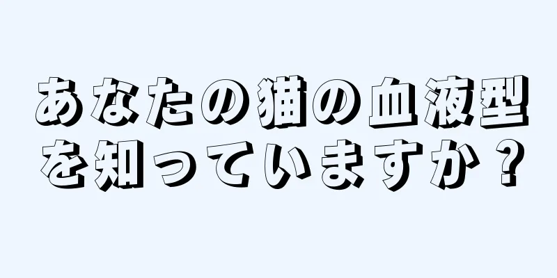 あなたの猫の血液型を知っていますか？