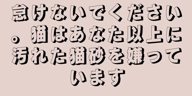 怠けないでください。猫はあなた以上に汚れた猫砂を嫌っています