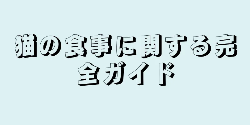 猫の食事に関する完全ガイド