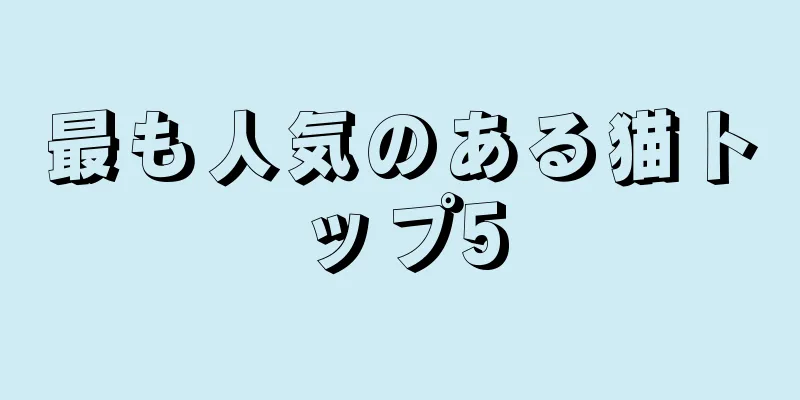 最も人気のある猫トップ5