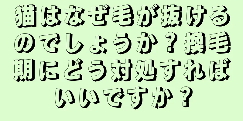 猫はなぜ毛が抜けるのでしょうか？換毛期にどう対処すればいいですか？