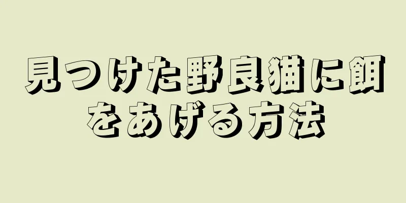 見つけた野良猫に餌をあげる方法