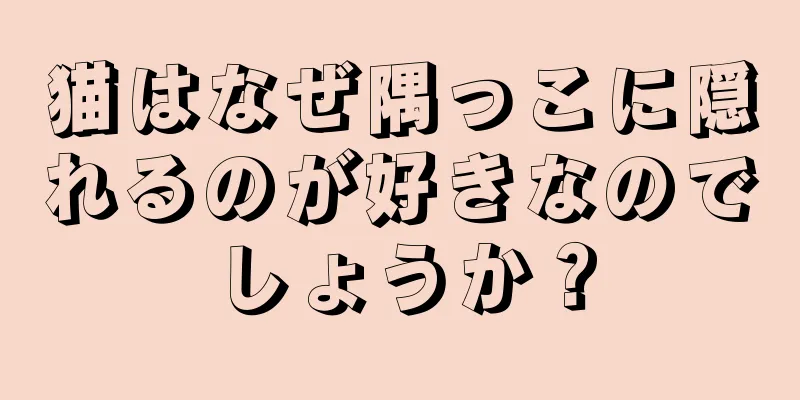 猫はなぜ隅っこに隠れるのが好きなのでしょうか？