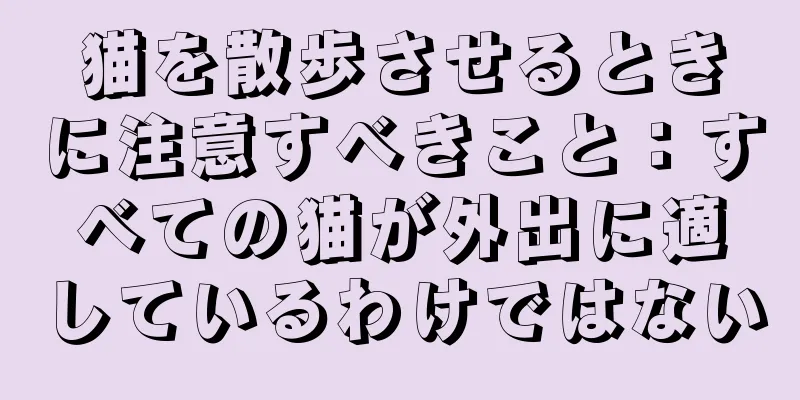 猫を散歩させるときに注意すべきこと：すべての猫が外出に適しているわけではない