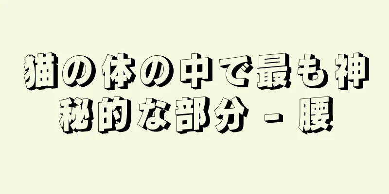 猫の体の中で最も神秘的な部分 - 腰