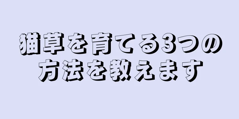 猫草を育てる3つの方法を教えます