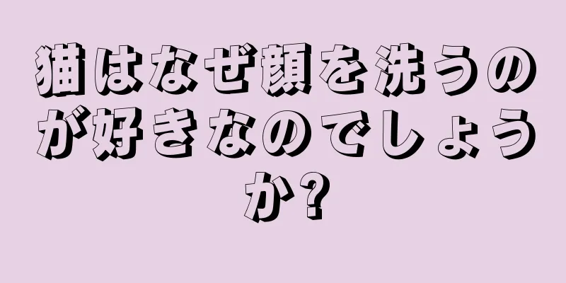 猫はなぜ顔を洗うのが好きなのでしょうか?