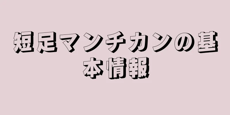 短足マンチカンの基本情報