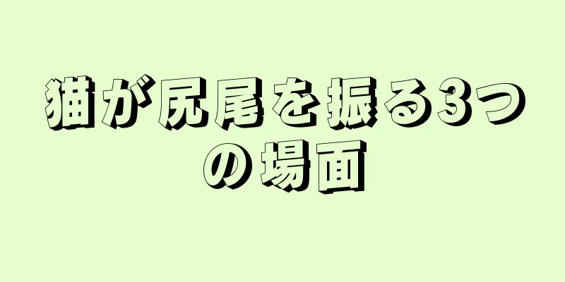 猫が尻尾を振る3つの場面
