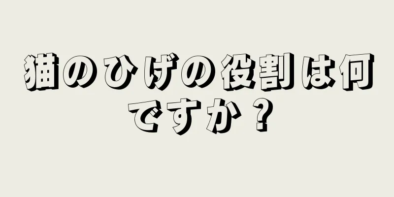 猫のひげの役割は何ですか？