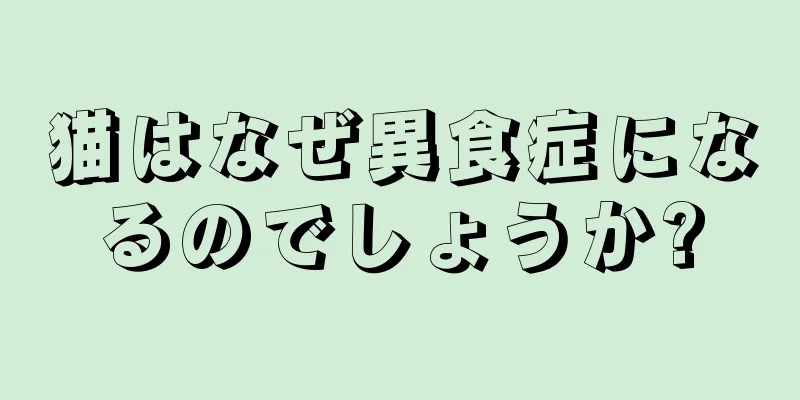 猫はなぜ異食症になるのでしょうか?