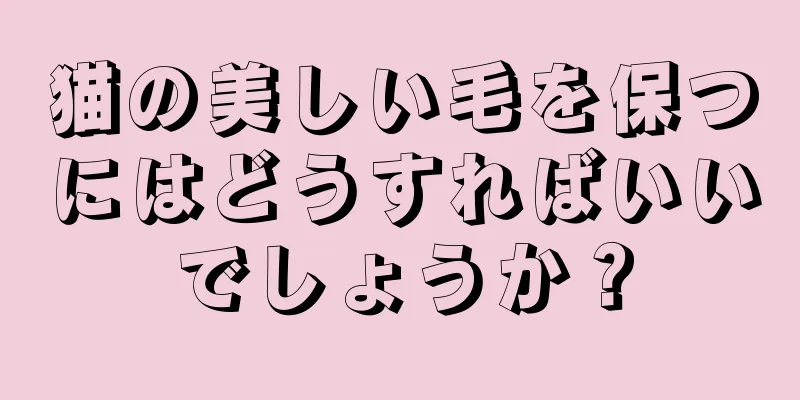 猫の美しい毛を保つにはどうすればいいでしょうか？