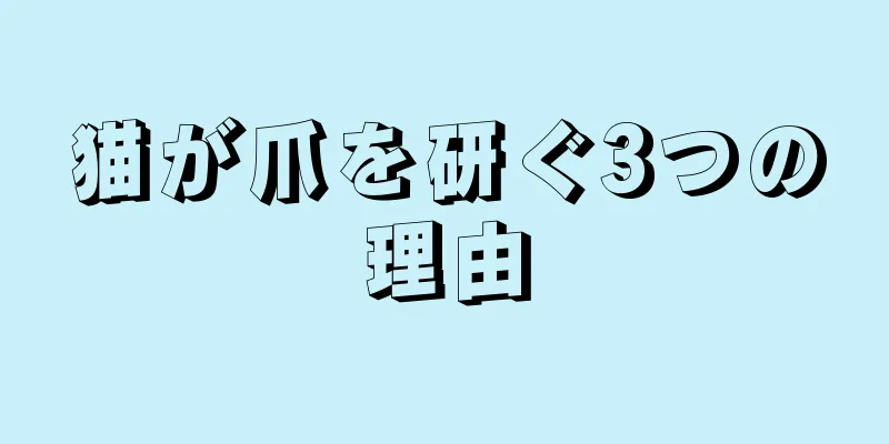 猫が爪を研ぐ3つの理由