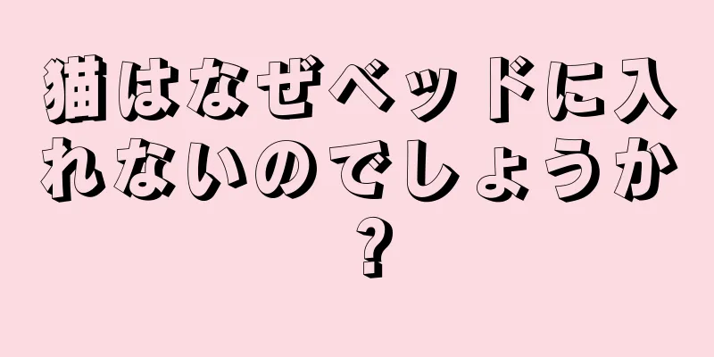 猫はなぜベッドに入れないのでしょうか？