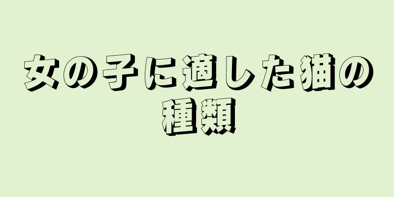 女の子に適した猫の種類