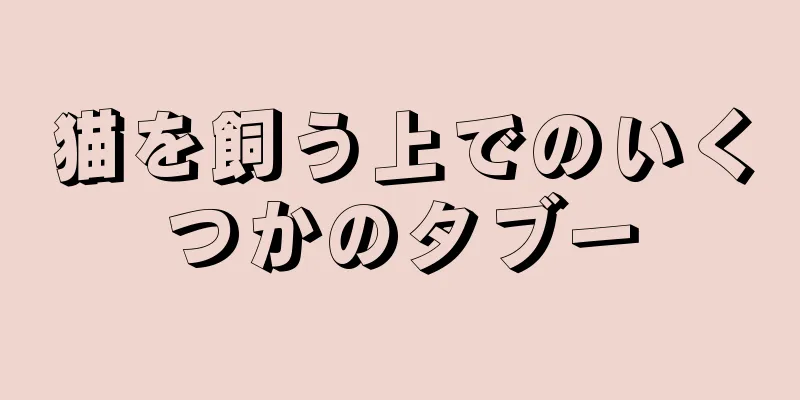 猫を飼う上でのいくつかのタブー