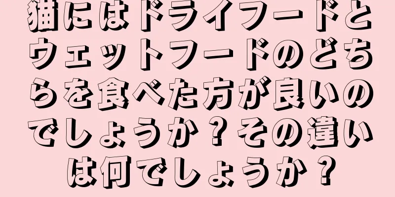 猫にはドライフードとウェットフードのどちらを食べた方が良いのでしょうか？その違いは何でしょうか？