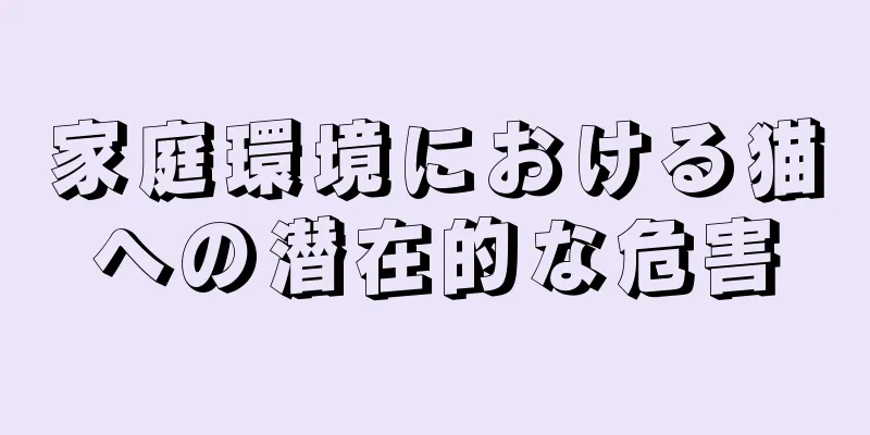 家庭環境における猫への潜在的な危害