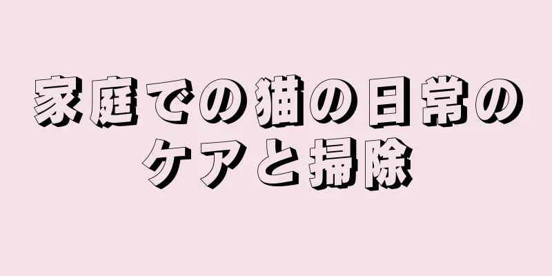 家庭での猫の日常のケアと掃除