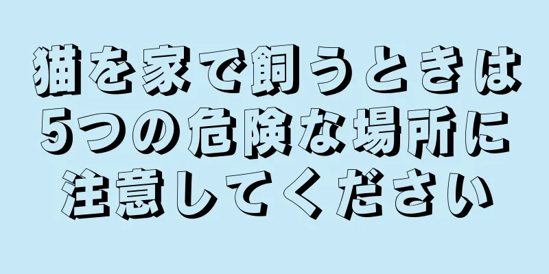 猫を家で飼うときは5つの危険な場所に注意してください