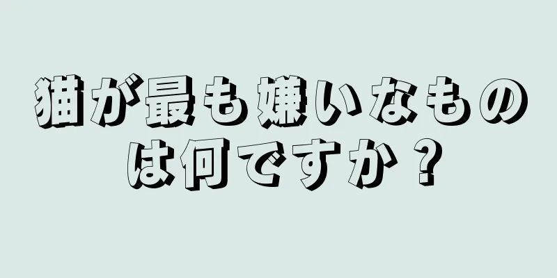 猫が最も嫌いなものは何ですか？