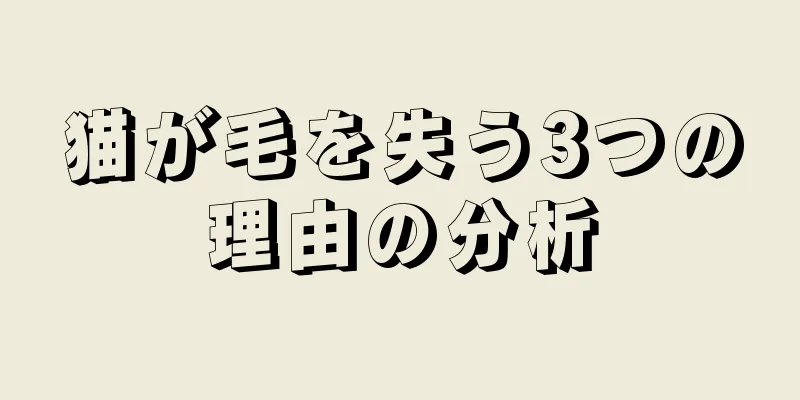 猫が毛を失う3つの理由の分析