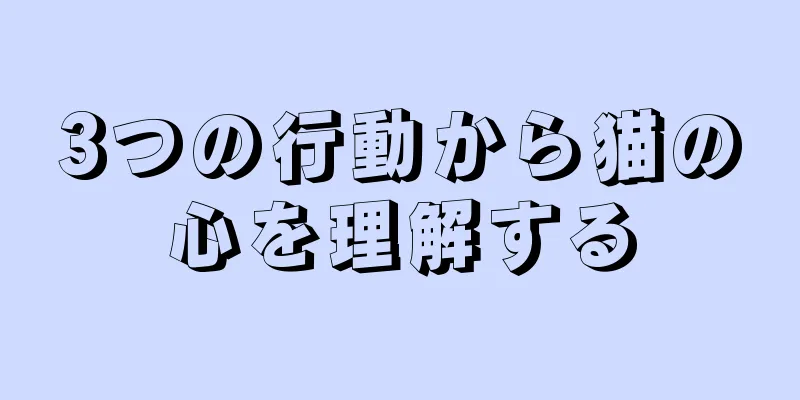 3つの行動から猫の心を理解する