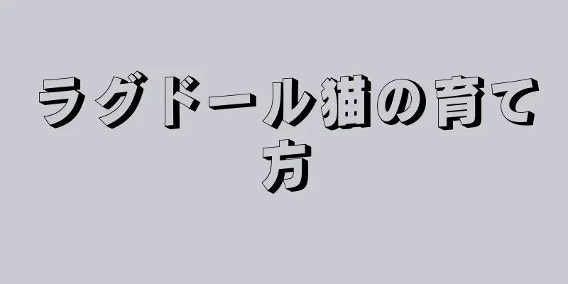 ラグドール猫の育て方