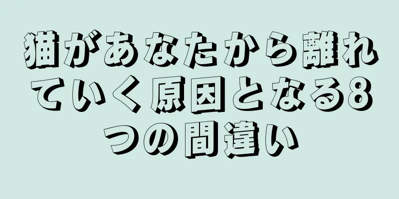 猫があなたから離れていく原因となる8つの間違い