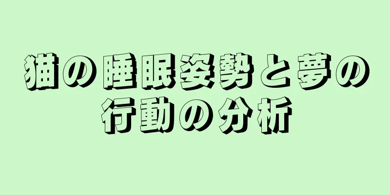 猫の睡眠姿勢と夢の行動の分析