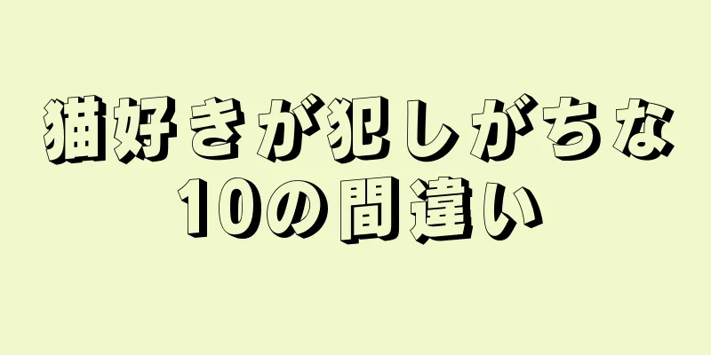 猫好きが犯しがちな10の間違い