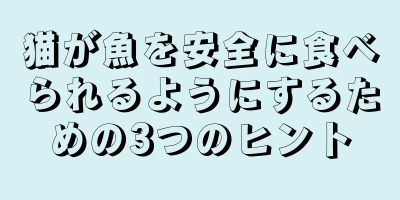 猫が魚を安全に食べられるようにするための3つのヒント
